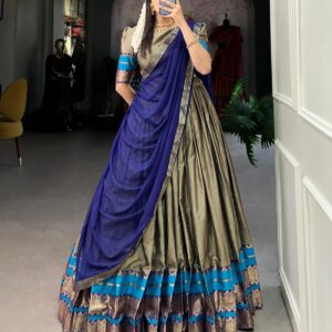 Blue and Grey Dhavani Set
