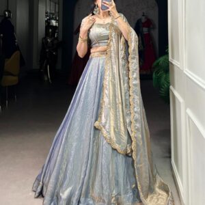 Light Blue Dhavani Set