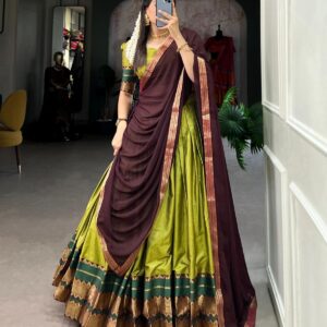 Brown and Green Dhavani Set